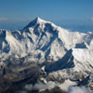 Meet your Posher, Owen